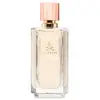 Scalpers du parfum pour femmes EDP Edp 100 ml et ici 