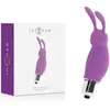 Vibrateur Intense Rabbit Roger Purple 1pc