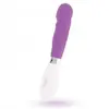 Vibrateur Paul Glossy Lilas