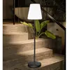 NEWGARDEN Ledkia Lampadaire LED RGBW 4.5W Lola Slim 120 Solar&Battery Anthracite