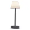 NEWGARDEN Lampe à poser intérieure extérieure Lola Slim 32 cm Anthracite.