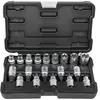 Jbm Mallette De Douilles Et Embouts Torx 1/2´´ 19 Pièces