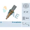 Thermocontact Fae 36660