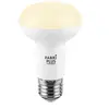 Fabrilamp - Ampoule Réflecteur 12w 3000k Fabriplus 960lm E27 10x 6,3x6,3 Cm