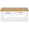 Table basse 2 tiroirs 100x55x40 cm blanc et naturel - bluza