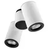Leds C4 Plafonnier Pipe, aluminium, blanc et noir,2 abat-jour