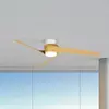 Mantra Iluminación Ventilateur de plafond LED Groenland, bois, DC sile...
