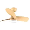 Ventilateurs de plafond EnergySilence Aero 3050 Mint Cecotec TU