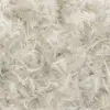 Baetis Plume Cdc
