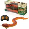 Tachan Snake Rc Multicolore 6-9 Years