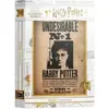 Harry Potter Puzzle Undesirable (1000 pièces )  - SD Toys Puzzle  - SDTWRN25172 