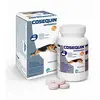 Ecuphar Supplément Pour Chien Cosequin Advance Msm Ha 40 Unités