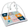 Eurekakids Tapis D´éveil Et Aire De Jeux Pour Bébé Avec 3 Poupées Incluses