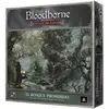 Cmon Jeu De Société Blbg: El Bosque Prohibido
