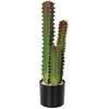 HOMCOM Cactus artificiel 66 cm plante décorative avec pot et 3 feuille...