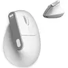 Subblim Souris Ergonomique Sans Fil Nature Vertical Ergo Dual Battery