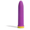 Vibromasseur clitoridien Bali Basics #lilas
