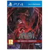 Just For Games Anima Gate Of Memories The Nameless Chronicles PS4