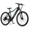 SKATEFLASH E-Bike Duster