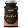 Hifas da Terra Mico-Cord 70 gélules