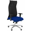 Piqueras y Crespo Chaise de bureau Sahuco Bali bleue