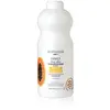 Merkloos / Sans marque Shampooings Byphasse  Family Fresh Delice Shampooing 2 En 1