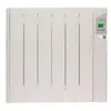 Radiateur mural à fluide caloporteur 1800w Ducasa 0636275
