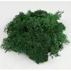 Maquette en céramique : accessoires : mousse verte 15 g aedes