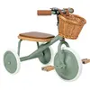 Tricycle évolutif Trike Forest