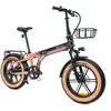 Vélo Électrique Youin BK1650 DALLAS Noir Café 250 W 20"