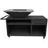 PUR LINE Grand barbecue avec armoire et plaque de cuisson en acier EFP56RECT B