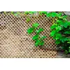 NORTENE Tuteur échelle en métal Nortène - Wick trellis 0,50 X1,50 - Marron