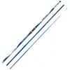 Kali Canne à Surfcasting Proton
