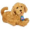 Famosa Jouet Peluche 700016894 TU