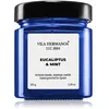 Vila Hermanos Apothecary Cobalt Blue Eucalyptus & Mint bougie parfumée...