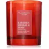 Vila Hermanos Earthen Herbal & Moss bougie parfumée 190 g