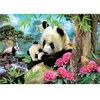 Educa - Puzzle de 1000 pièces pour Adultes | Pandas. À partir de 14 Ans (17995)