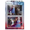 EDUCA - puzzle 2x100 la reine des neiges 2