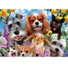 Puzzle enfant - Educa - Selfie d'animaux - 200 pièces