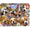EDUCA-1000 CHIOTS SELFIE, HOWARD ROBINSON