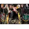 Puzzle 1000 pièces - Educa - Harry Potter - Fantastique - Intérieur - Adulte