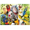 Puzzle 500 pièces - Educa - Le Petit Oiseau Va Sortir - Coloris Unique - Adulte - 10 ans