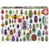 Educa Borras Puzzle adulte - Scarabee 500 pcs