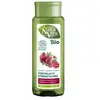 Eau de toilette Naturaleza Y Vida Shampoo BIO fortificante 300 ml Mixte