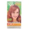 Naturaleza y Vida Colorations Natur Vital  Coloration Permanente Coloursafe 6.43-noisette