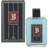 Puig After Shave - BRUMMEL - 250 ml - Parfum Masculin - Élégant et Sophistiqué - Longue Durée