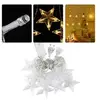 Guirlande lumineuse 4m LED étanche forme d'étoile lumière blanche chau...