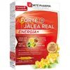 Forté Jalea Real energía+ 20 ampollas