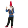 DÉGUISEMENT GNOME (GARÇON 5-6 A)