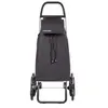 Chariot ROLSER de courses 6 roues saquet LN noir